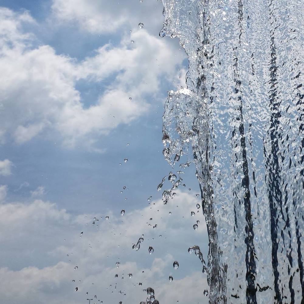 Meet your Posher, Jannah